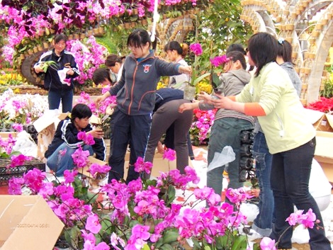 点此在新窗口浏览图片