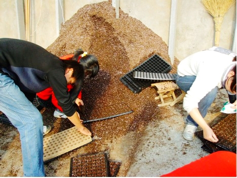 点此在新窗口浏览图片