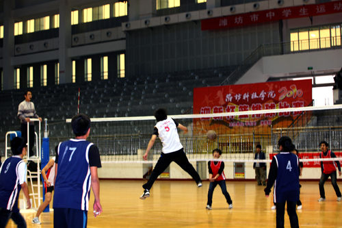 点此在新窗口浏览图片