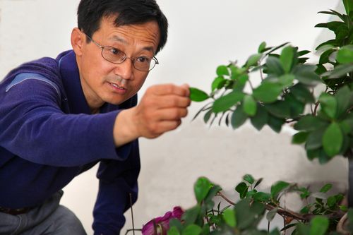 点此在新窗口浏览图片